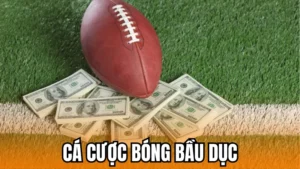 Cá cược bóng bầu dục - Môn thể thao không dành cho số đông