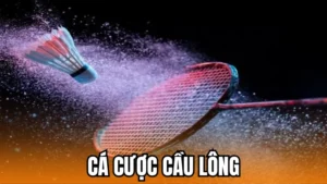 Hướng dẫn cá cược cầu lông tại 188Bet dễ hiểu cho người mới