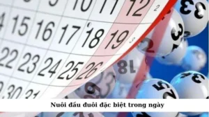 nuôi đầu đuôi đặc biệt trong ngày