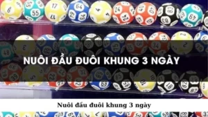 nuôi đầu đuôi khung 3 ngày